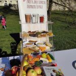 Podržimo zdravi život – za zdraviju budućnost!