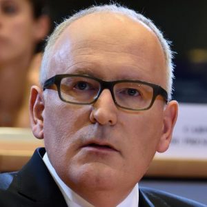 timmermans